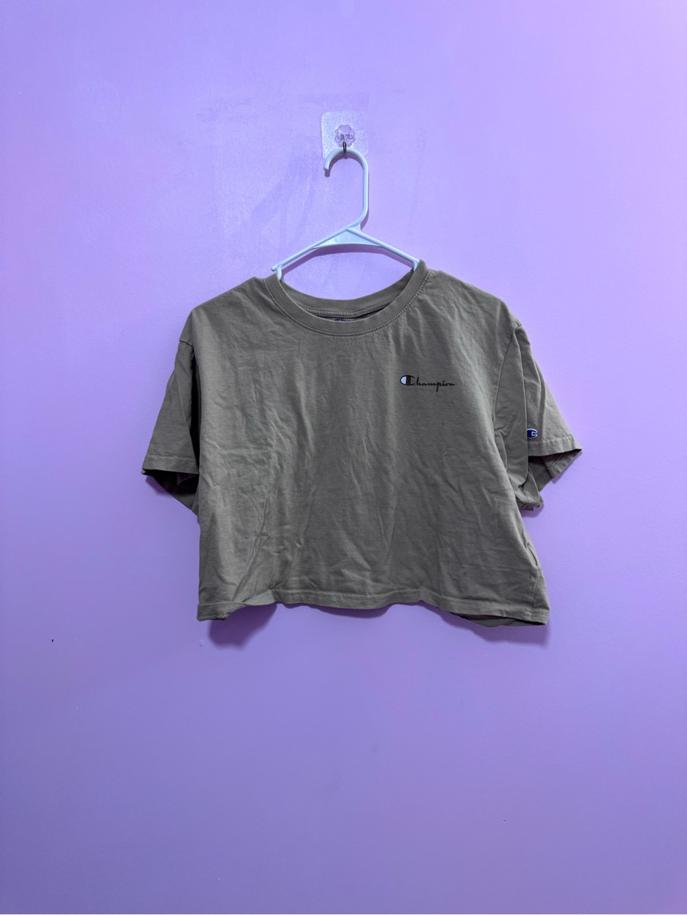 Cropped tan champion shirt